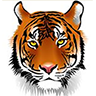 Adelphi-Elementary-logo