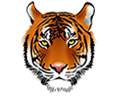 Adelphi-Elementary-logo